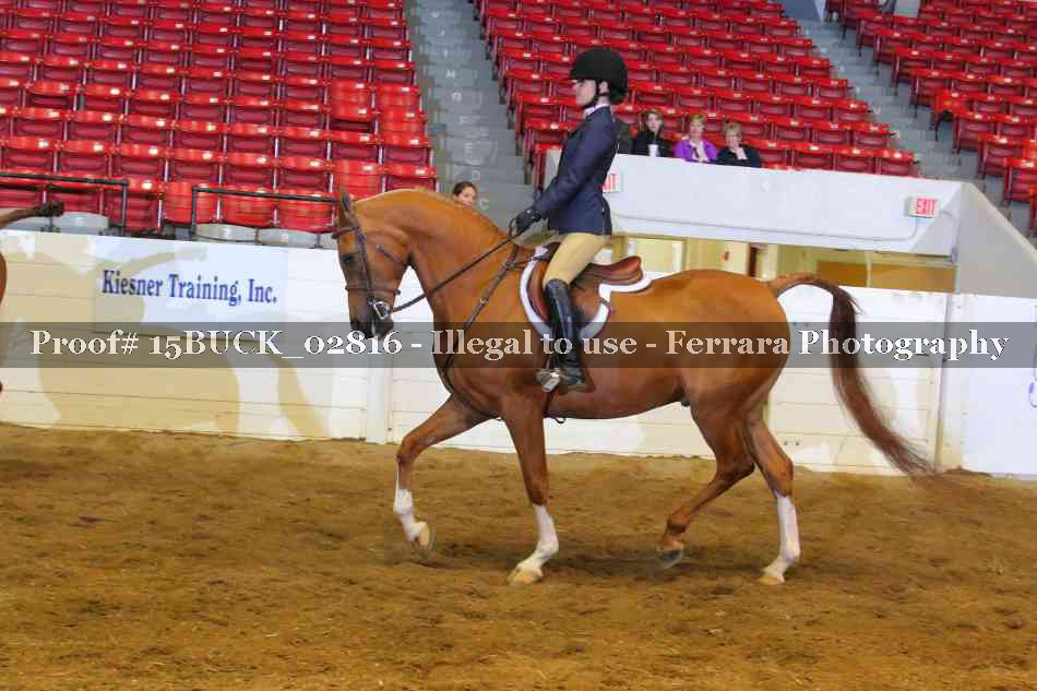 Proof 15BUCK_02816