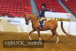 15BUCK_02816 proof
