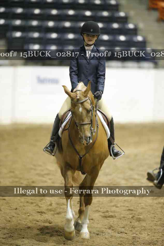 Proof 15BUCK_02817