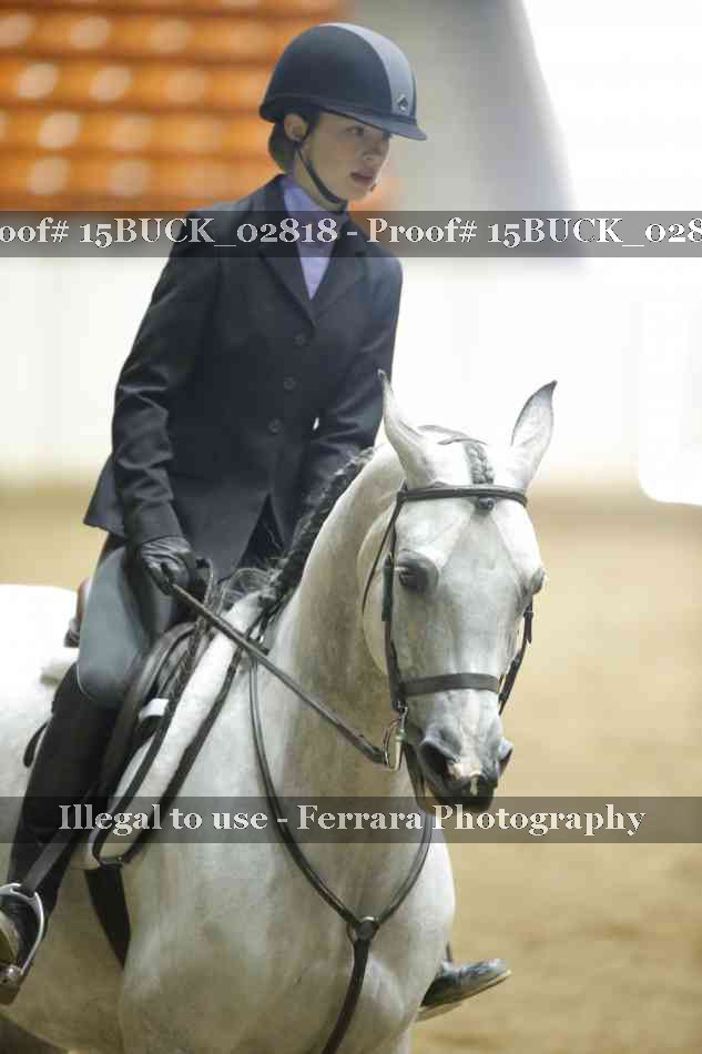 Proof 15BUCK_02818