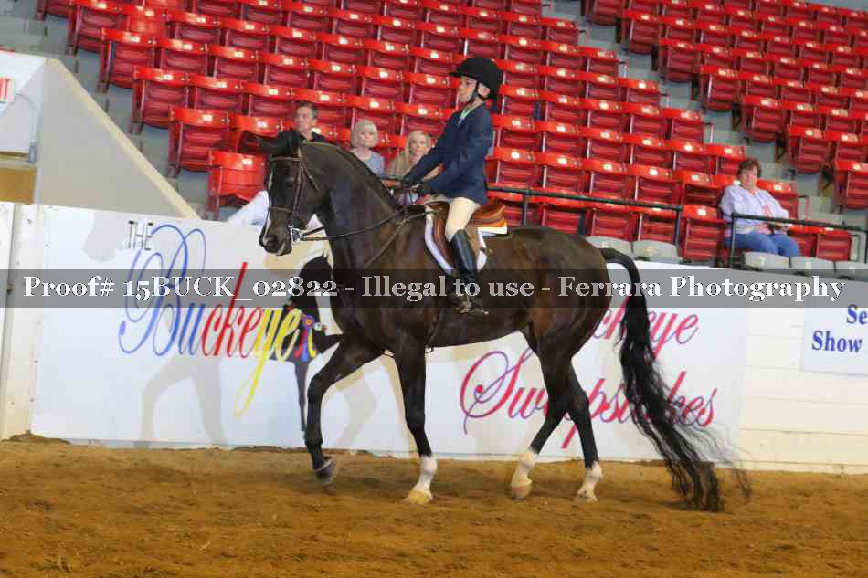 Proof 15BUCK_02822