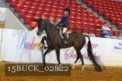 15BUCK_02822 proof