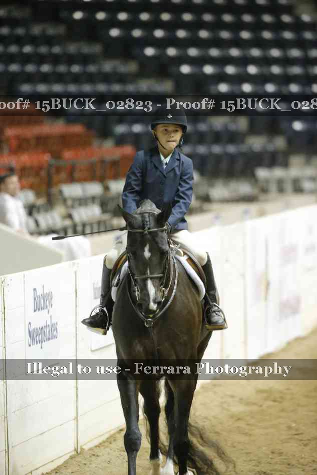 Proof 15BUCK_02823