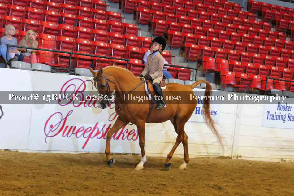 Proof 15BUCK_02824