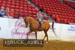 15BUCK_02824 proof