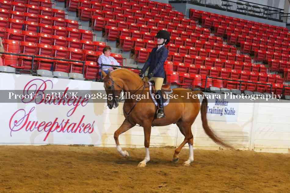 Proof 15BUCK_02825