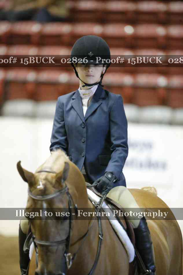 Proof 15BUCK_02826