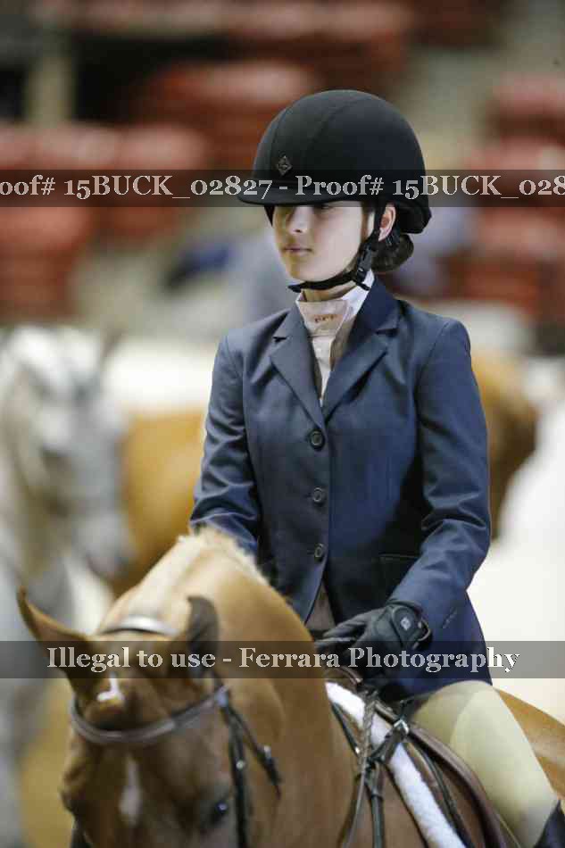 Proof 15BUCK_02827