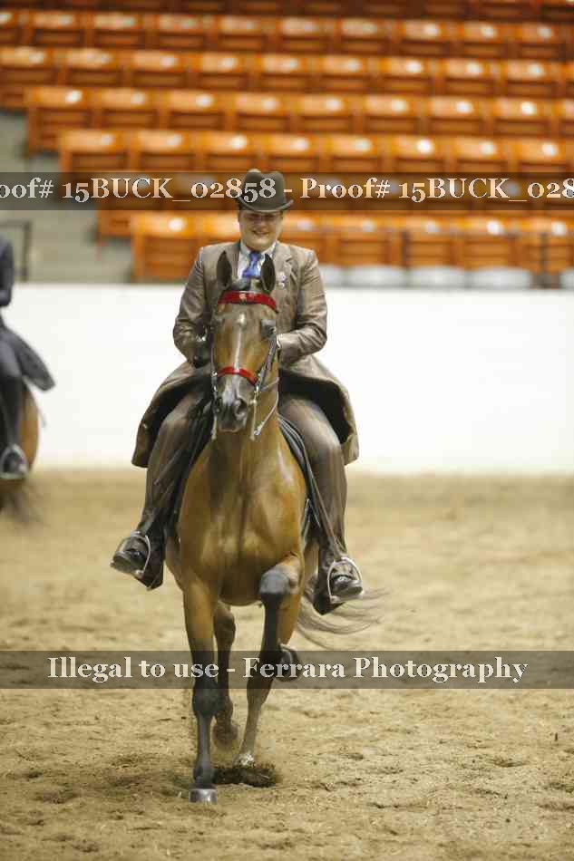 Proof 15BUCK_02858