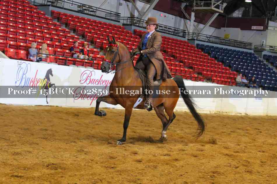 Proof 15BUCK_02859