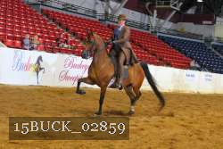 15BUCK_02859 proof