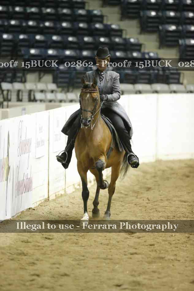 Proof 15BUCK_02862