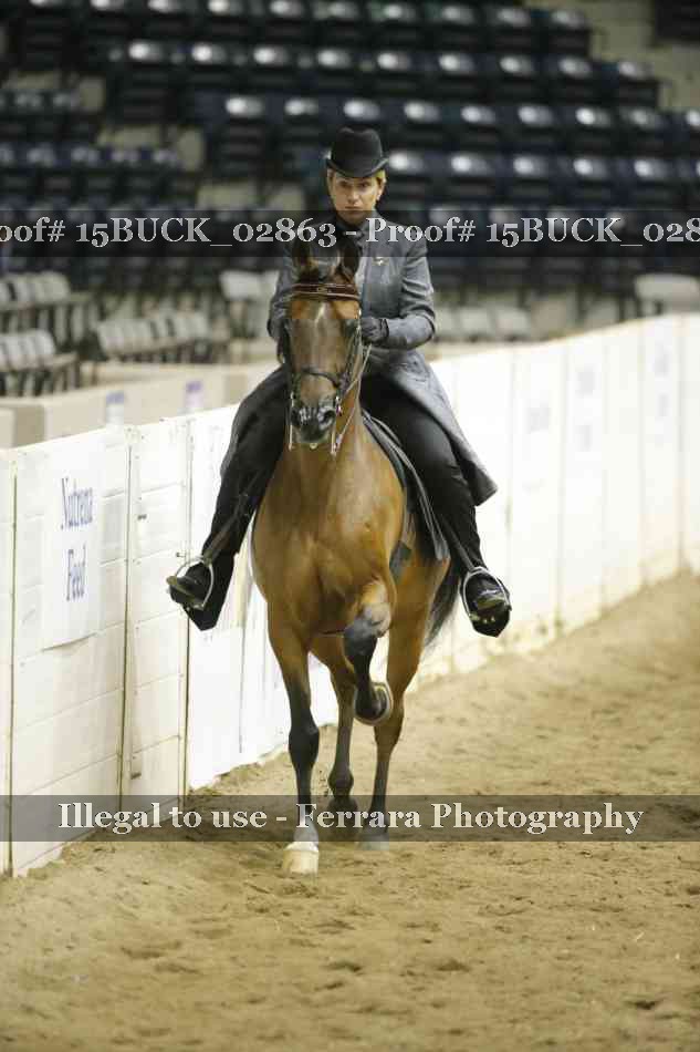 Proof 15BUCK_02863