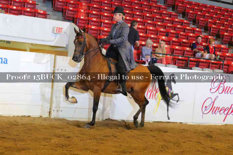Proof 15BUCK_02864
