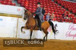 15BUCK_02864 proof