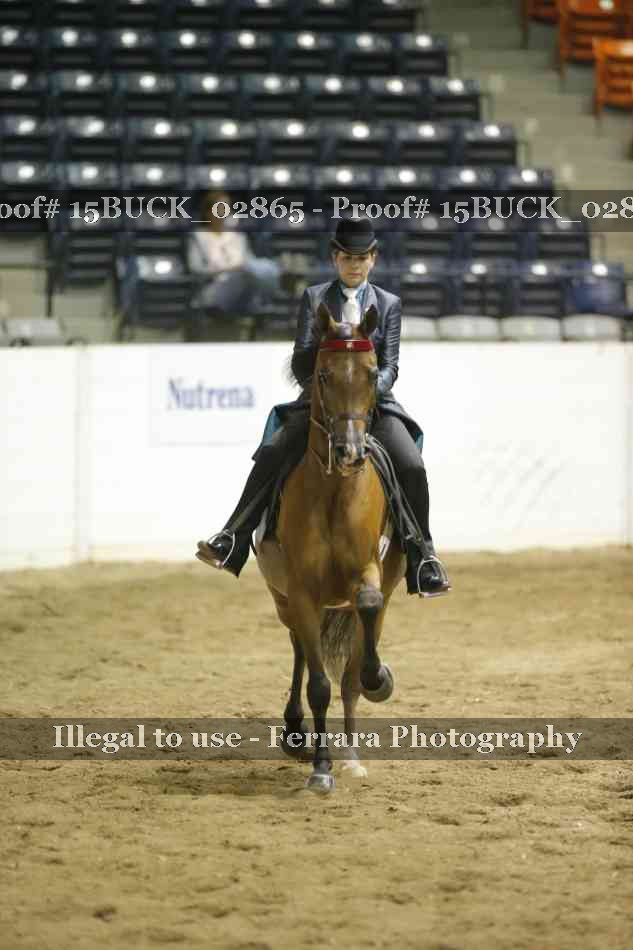 Proof 15BUCK_02865