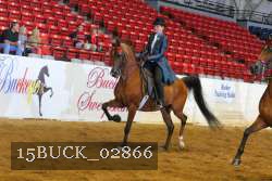 15BUCK_02866 proof