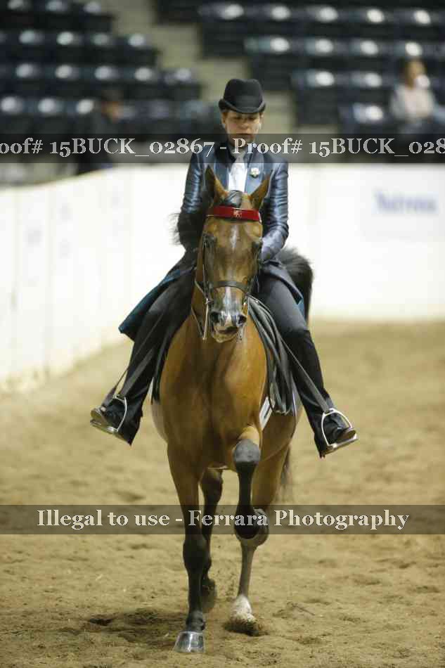 Proof 15BUCK_02867