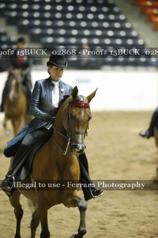 Proof 15BUCK_02868