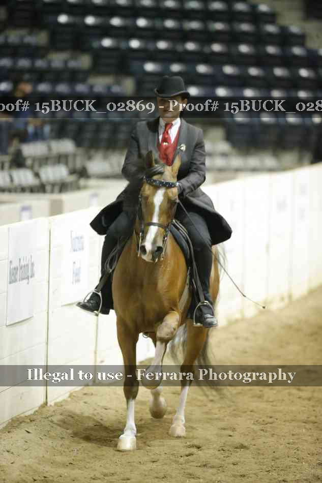 Proof 15BUCK_02869