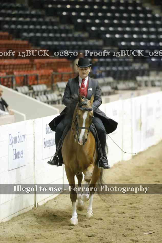 Proof 15BUCK_02870