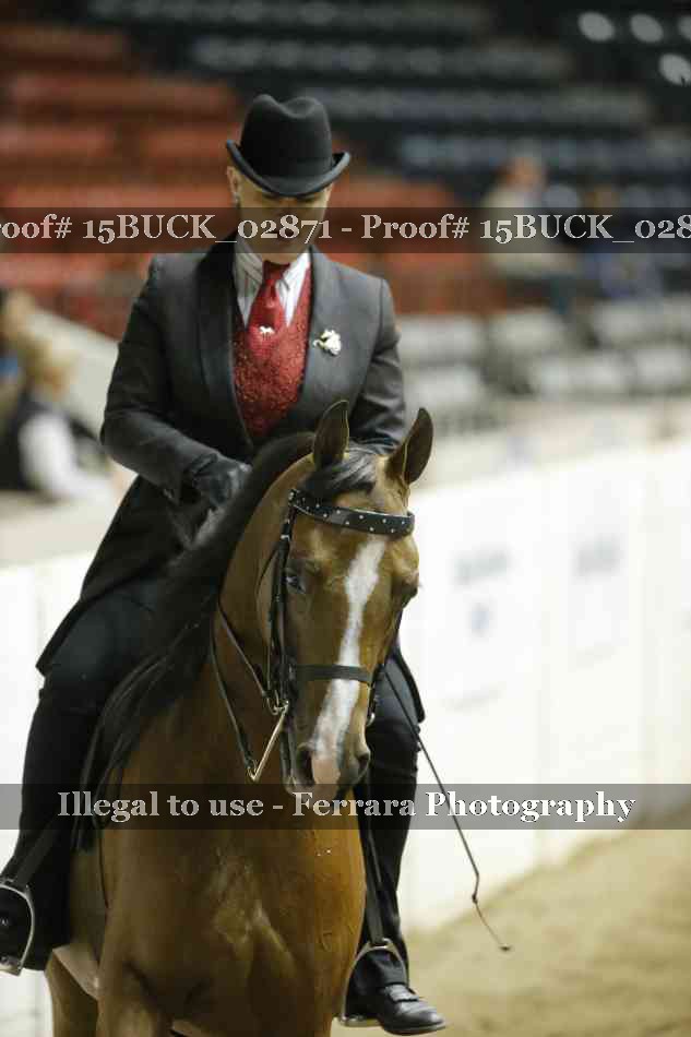 Proof 15BUCK_02871