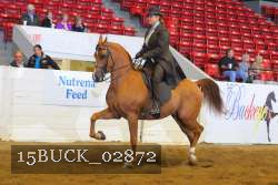 15BUCK_02872 proof