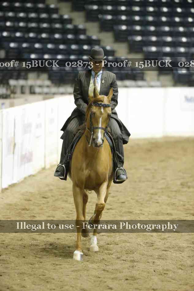 Proof 15BUCK_02873
