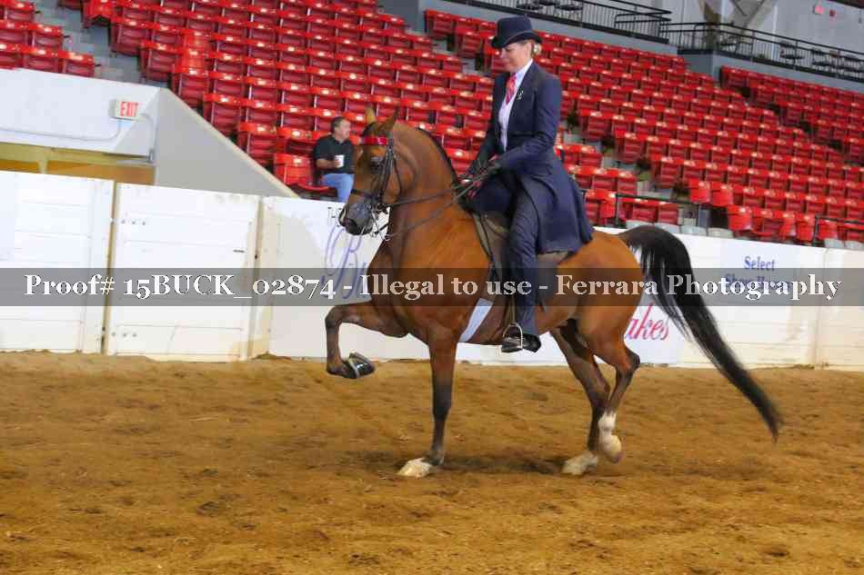 Proof 15BUCK_02874