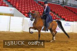 15BUCK_02874 proof