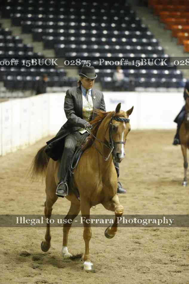 Proof 15BUCK_02875