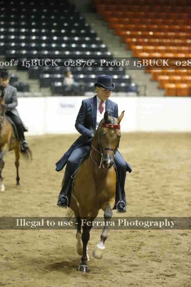 Proof 15BUCK_02876
