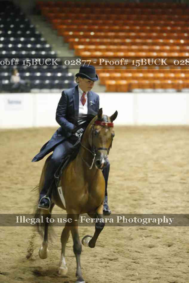 Proof 15BUCK_02877