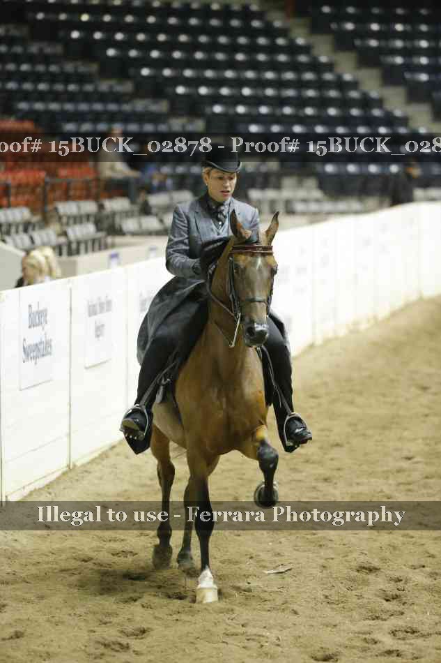Proof 15BUCK_02878