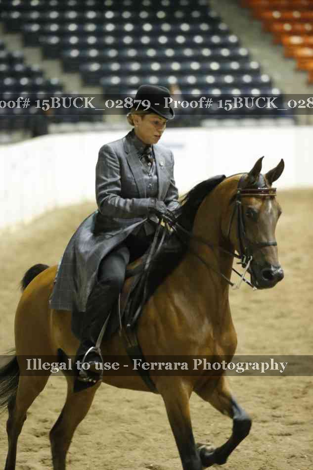 Proof 15BUCK_02879