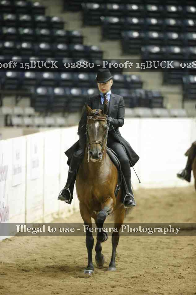 Proof 15BUCK_02880