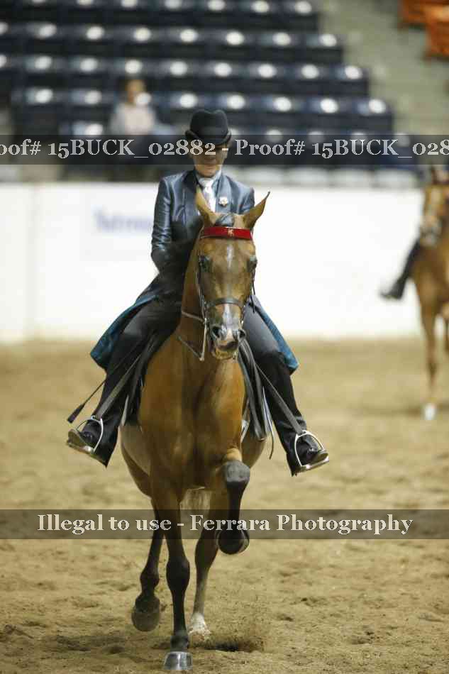 Proof 15BUCK_02882