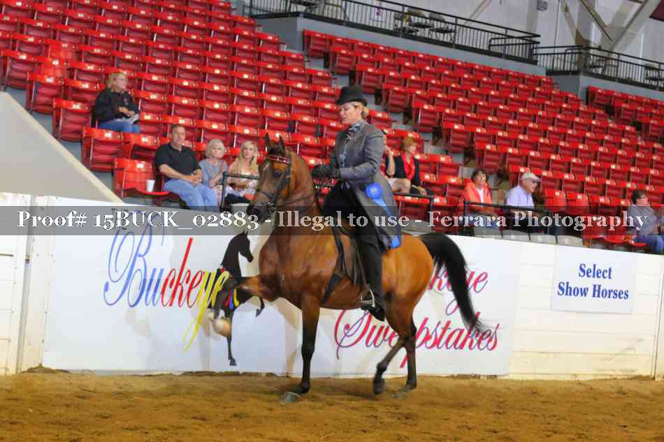 Proof 15BUCK_02883