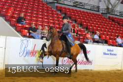 15BUCK_02883 proof