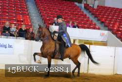 15BUCK_02884 proof