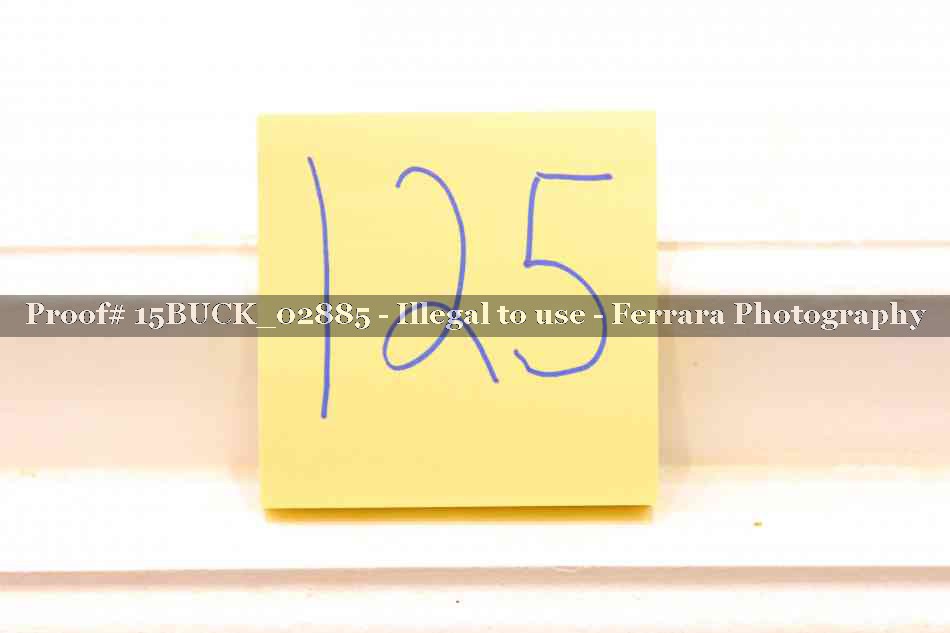 Proof 15BUCK_02885