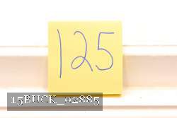 15BUCK_02885 proof