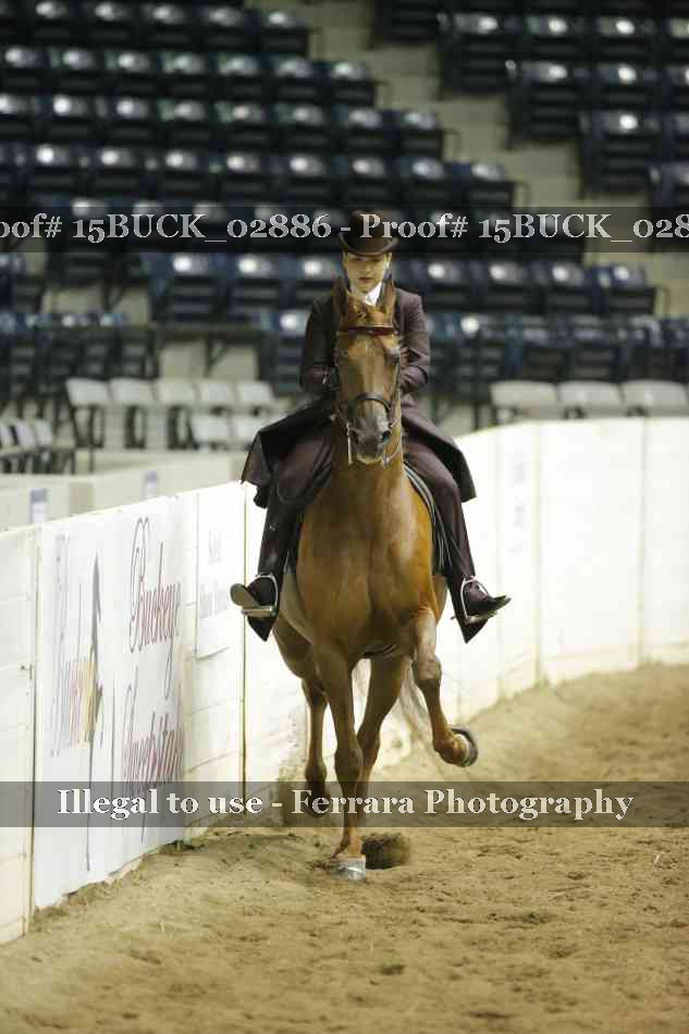 Proof 15BUCK_02886