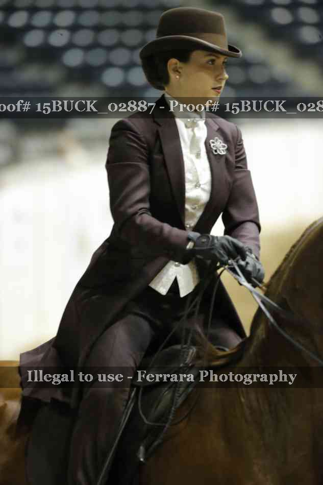 Proof 15BUCK_02887