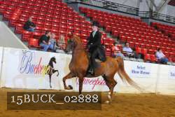 15BUCK_02888 proof