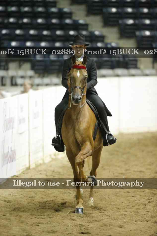 Proof 15BUCK_02889