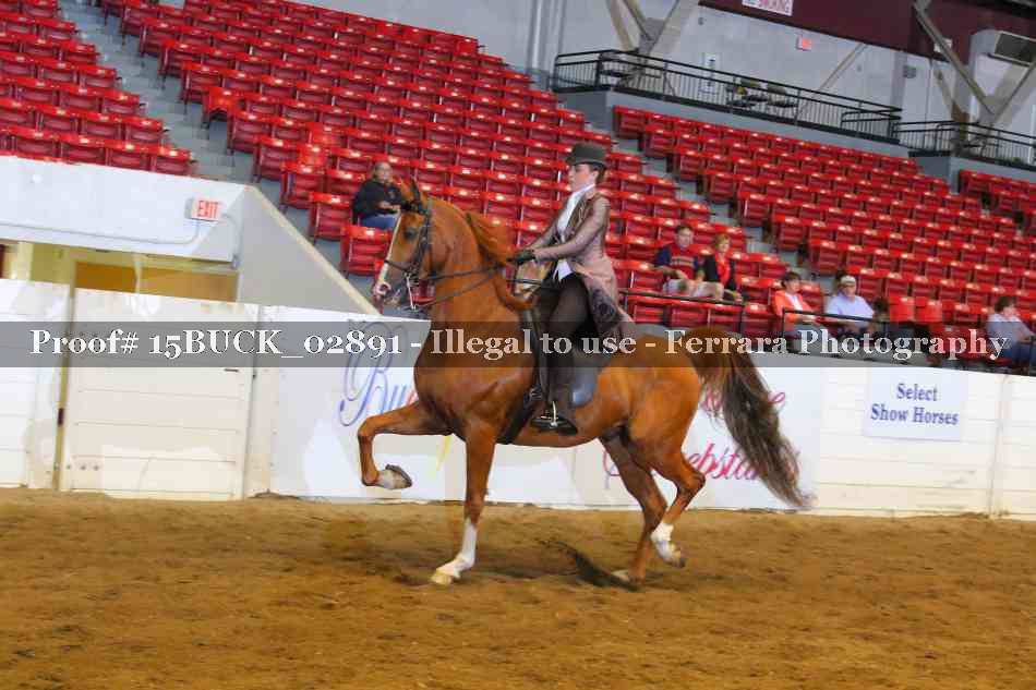 Proof 15BUCK_02891