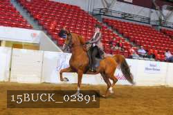 15BUCK_02891 proof