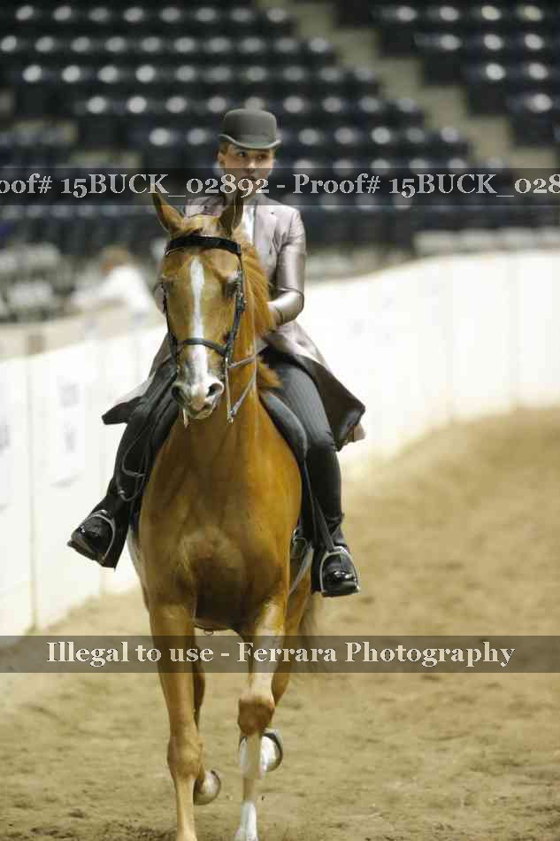 Proof 15BUCK_02892