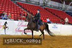 15BUCK_02894 proof